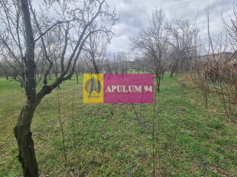 Teren de vanzare in Brebu - Zona Brebu Megiesesc