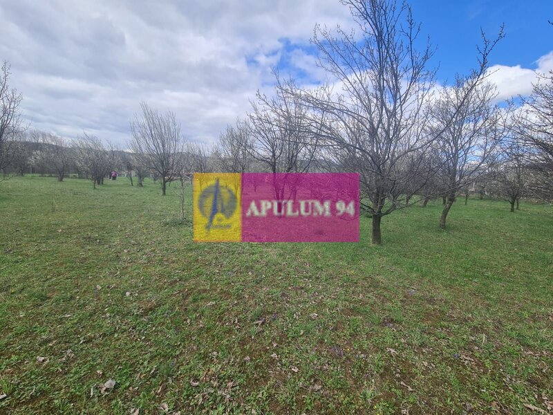Teren de vanzare in Brebu - Zona Brebu Megiesesc