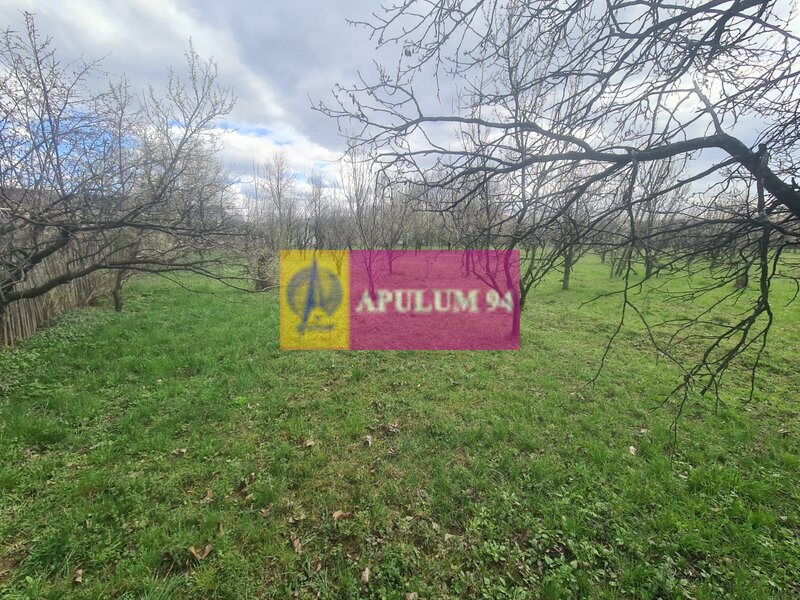 Teren de vanzare in Brebu - Zona Brebu Megiesesc