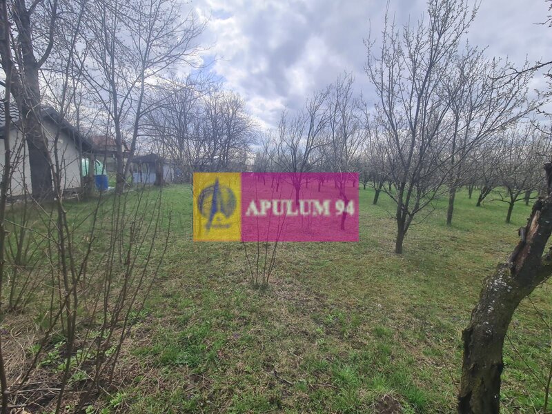 Teren de vanzare in Brebu - Zona Brebu Megiesesc